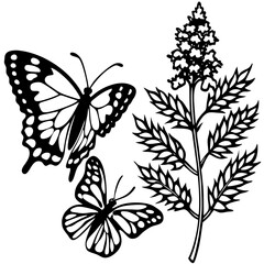 Butterfly Bush Redwood line art vector