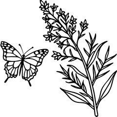 Butterfly Bush Redwood line art vector