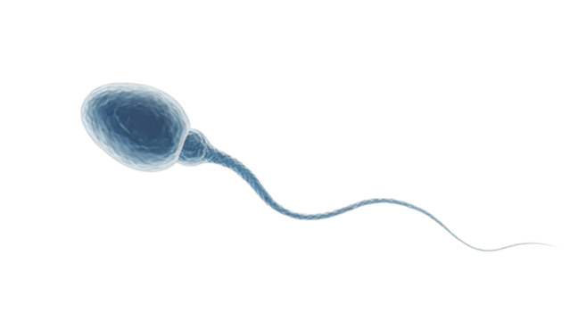 Sperm cell viewed under microscope, a symbol of fertility and life, illustrating biology, reproduction, and the miracle of conception