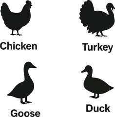 Farm fresh poultry icons showing chicken, turkey, goose, and duck for labels, menus, and food packaging designs that bring a rural touch