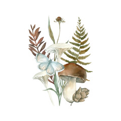 Autumn illustration with forest plants. Isolated on white background composition with mushrooms, fern, leaves, butterfly, bump and branches. Hand drawn with watercolor. Template for postcards 