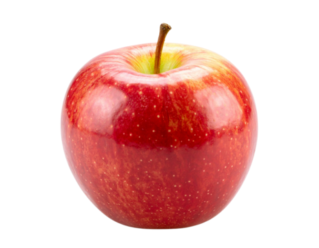 Side View of Fresh Red Fuji Apple with Stem, isolated on white backdrop
