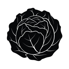 cabbage-silhouette-on-white-background