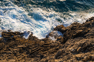 A photo of a bird sitting on a rock by the ocean