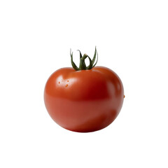 Tomato vegetable isolated white background