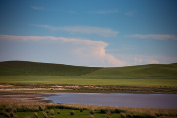 Obraz premium A sunny summer day on the prairie of Inner Mongolia, China