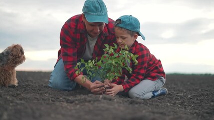 Child helps father with planting in soil. Growth of plant in nature begins. Boy holds plant roots. Father explains outdoor planting. Soil ready for growth. Happy child helps in soil planting. - Powered by Adobe