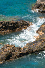 A photo of a bird sitting on a rock near the ocean
