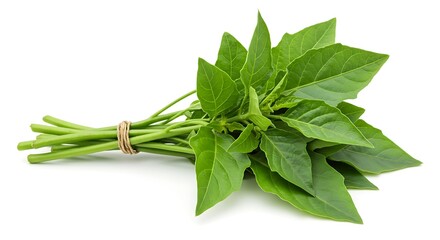 A bunch of fresh green basil leaves tied together with a brown string on a white background surface ai generative