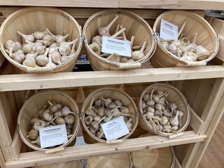 baskets of garlic at the market