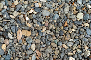 雨上がりの砂利