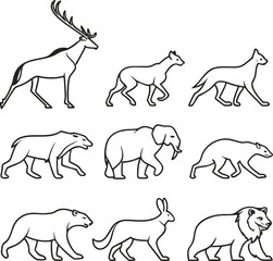 Elephant, Deer, Tiger Animal Vector Bundle – Wildlife and Safari Illustrations