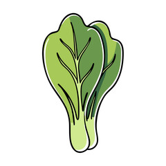 Vibrant bok choy leaf icon in doodle style for fresh produce promotion and culinary designs