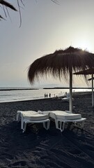 lounge chairs on a tropical beach