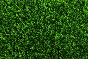 Lush green grass texture, seamless surface, natural scenery, detailed blades, vibrant turf, summer meadow backdrop, perfect for landscaping, refreshing outdoor design, ideal for nature themes