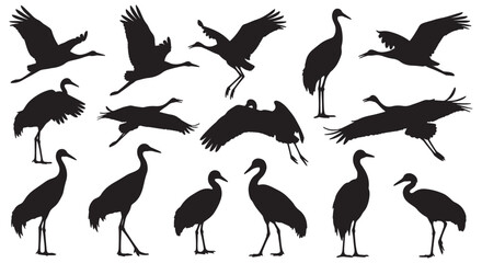 Crane Bird Silhouettes Collection Flying & Standing Bird  Vector Clipart Set on White Background.eps