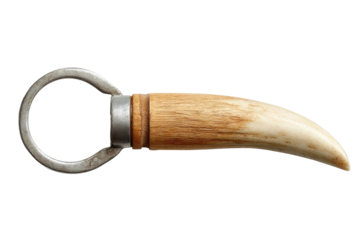 Elegant, antler-handled bottle opener.  Metal ring, light-brown antler tip