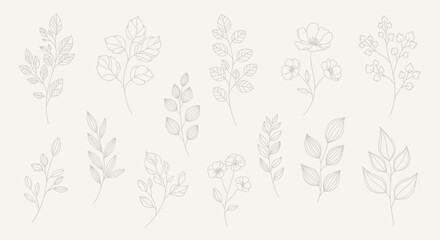 Vector Minimalist Botanical SVG Illustration with Line Art Flower and Leaf Elements in Flat Design Style