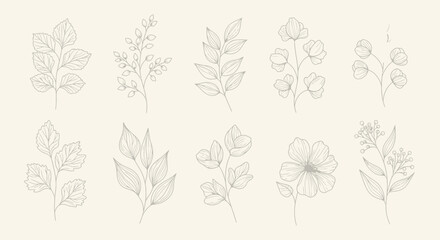 Fototapeta premium Vector Minimalist Botanical SVG Illustration Set with Line Art Floral Elements in Monochrome Style