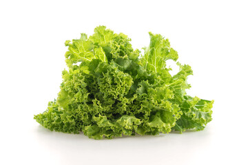 Fototapeta premium Fresh Lettuce