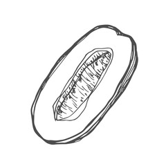 Vector Illustration of Date Fruit. Hand dawn whole dates and slices