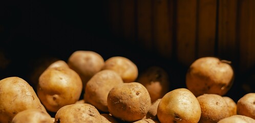Fresh vegetables at small local urban market. Organic produce on sale at outdoor farmer market. Selling fresh crops and veggies harvest. European urban setting. Close up. Part of the series