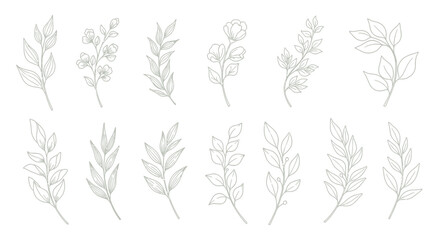 Minimalist Vector SVG Illustration of Botanical Leaf Patterns in Flat Design Style for Web and Print