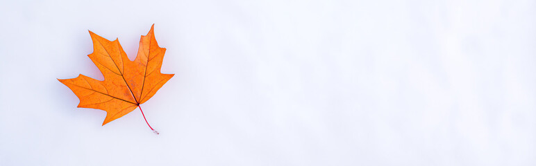 Obraz premium Single Bright Orange Maple Leaf Resting on Crisp Snow with Generous Negative Space