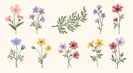 Minimalist Vector SVG Illustration of Floral Pattern with Colorful Wildflowers in Flat Design Style
