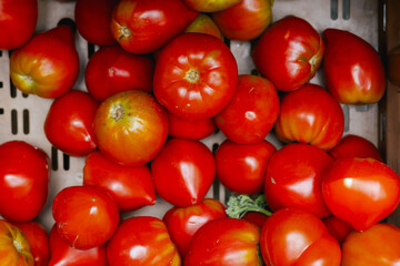 Fresh tomatoes at small local urban market. Organic produce on sale at outdoor farmer market. Selling fresh crops and veggies harvest. European urban setting. Close up. Part of the series