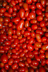 Fresh tomatoes at small local urban market. Organic produce on sale at outdoor farmer market. Selling fresh crops and veggies harvest. European urban setting. Close up. Part of the series