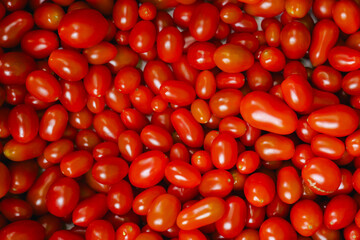 Fresh tomatoes at small local urban market. Organic produce on sale at outdoor farmer market. Selling fresh crops and veggies harvest. European urban setting. Close up. Part of the series