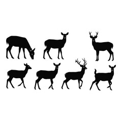 Wild Deer Silhouettes