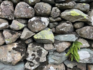 Detail of dry stone wall showing lichen pattern