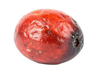Fototapeta premium Rotten Cranberry Isolated on White Background