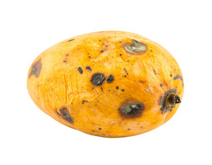 Rotten Mango Isolated on White Background