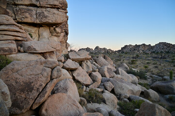 Golden hour landscapes in Joshua Tree National Park, California, showcasing iconic rock formations, desert vegetation, and Joshua trees under a clear evening sky.