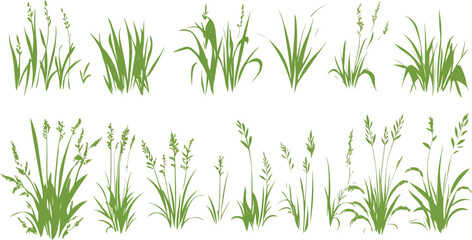 Fototapeta premium Collection of diverse green grass and plant illustrations in various sizes and styles on a white background