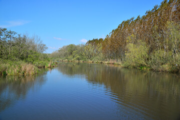 Acarlar Floodlight in Karasu, Sakarya, Turkey.