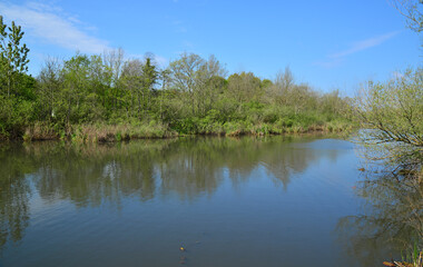 Acarlar Floodlight in Karasu, Sakarya, Turkey.