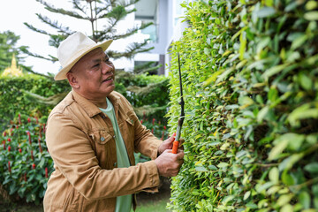 Happy retirement senior asian gardener use his pruning shears to trim off the hedge wall in his garden for weekend activities and hobby concept