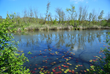Acarlar Floodlight in Karasu, Sakarya, Turkey.