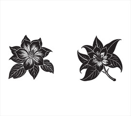 Elegant Black and White Flower Illustrations for Botanical Designs and Creative Projects featuring two blooming blossoms