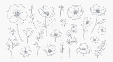 Vector Minimalist Botanical SVG Illustration with Line Art Floral Elements in Monochrome Style for Web and Digital Design