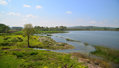 Big Ak Lake in Sakarya, Turkey