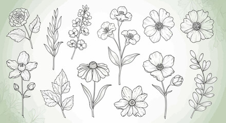 Vector Minimalist Line Art SVG Illustration of Floral Elements in Elegant Modern Style for Botanical Design