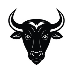 bull head isolated on white