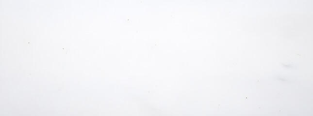 Plain White Textured Background Showing Fine Details and Subtle Variations in Tones