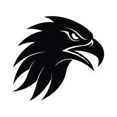 eagle head vector illustration