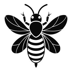 Honey Bee vector clean black silhouette design white background
